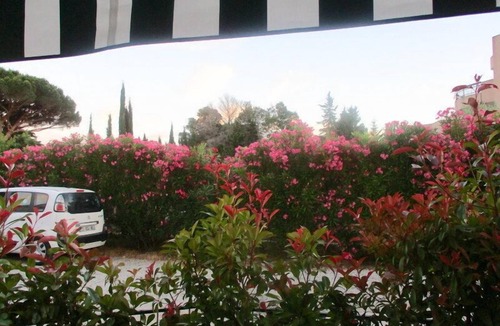 Cavaliere House | Laurel Rose (beach at 100m)