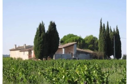 Valreas House | Lavender+Cicadas+Olive trees, Mas Le Moulin Neuf