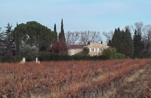 Valreas House | Lavender+Cicadas+Olive trees, Mas Le Moulin Neuf