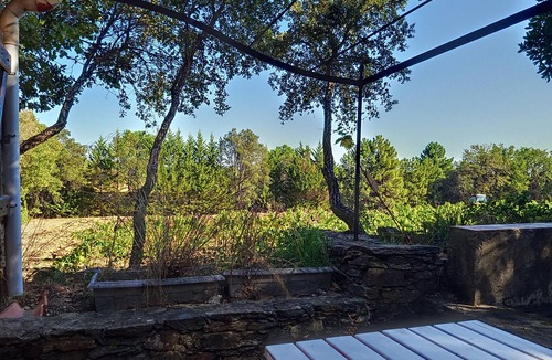 La Garde-Freinet Apartment | LE CABANON DANS LA FORET