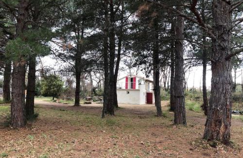 Caromb House | Le Cabanon de Vally