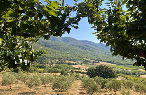 Saint-Martin-de-Castillon House | Le Grand Hermas
