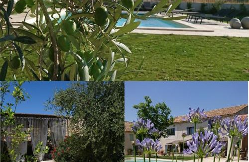 Jonquieres House | Le Mas Saint Philippe