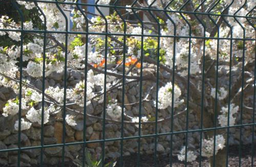 Saint-Laurent-de-la-Cabrerisse Bed & Breakfast | Les S Sens du Sud