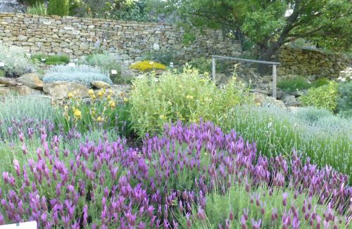 Simiane-la-Rotonde House | Les Jardins de l'Abbaye