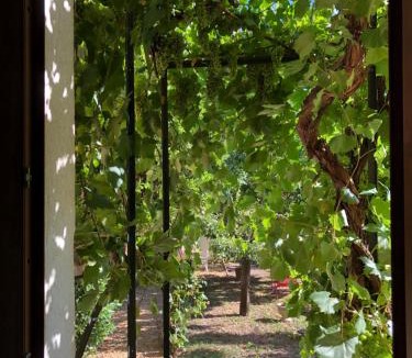 Camps-la-Source Bed & Breakfast | Les Lauriers