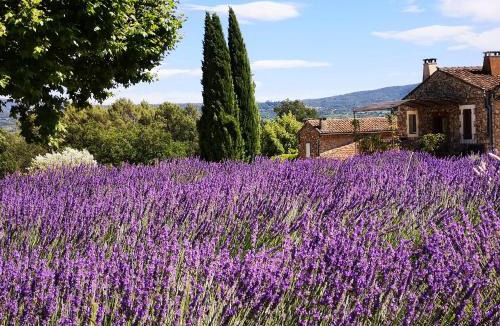 Goult House | Les Vendangeurs, gîte au milieu des vignes face au Luberon