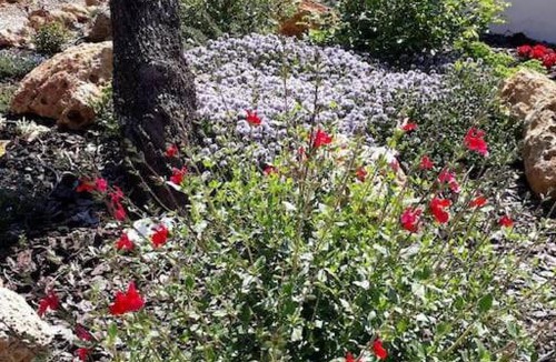 Lorgues House | maison 2 ou 4 personnes jardin parking LES AMANDIERS