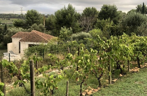Jonquieres-Saint-Vincent Villa | Maison de Famille Superbe Vue, au Centre du Triangle Avignon Nimes et Arles