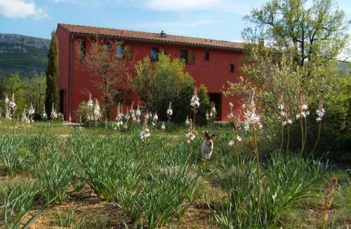 Plan-d'Aups-Sainte-Baume House | Maison Rouge
