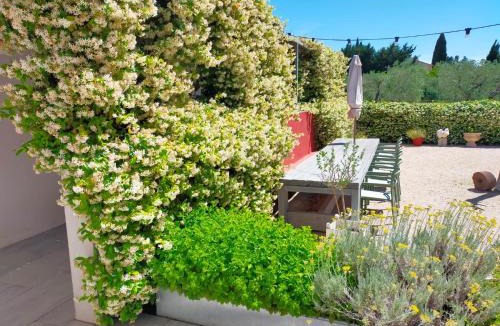 Maussane House | Mas de charme au pied des Alpilles