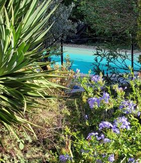 Maussane Bed & Breakfast | Mas des Marguerites