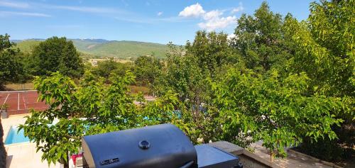 Ongles Villa | Mas provençal avec piscine et tennis