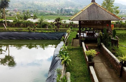 Wanagiri Hotel | Oak Tree Bali