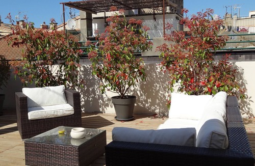 Arles City Centre House | "Old Center" Charming House with Terraces and Garage