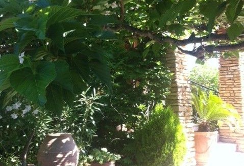 Saint-Cyr-sur-Mer Villa | Quiet villa in large garden next to the beach .