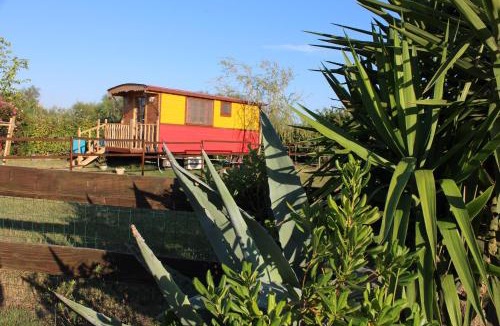Saintes-Maries-de-la-Mer Bed & Breakfast | Roulotte Lou Gregau