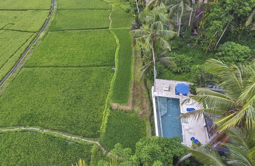 Pengosekan House | SPLENDID BRAND NEW LUXURY VILLA, UBUD