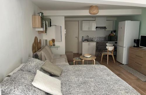 Hyeres City Centre Apartment | Studio Hyères -Rue piétonne Climatisation lit 160 tout équipé - Sabrina
