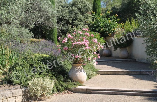 Crillon-le-Brave Villa | Superb stone-built villa with swimming pool