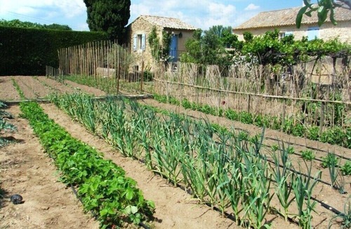 Bagnols-sur-Ceze House | Superbe mas Avec Piscine en Pierre au Milieu des Vignes Dans Domaine Viticole