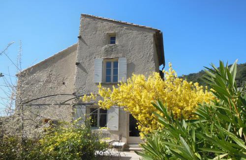 Bedoin House | Sur Les Contreforts Du Mont Ventoux