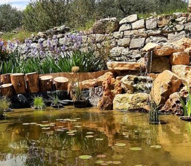 Trans-en-Provence Other | Tipizen