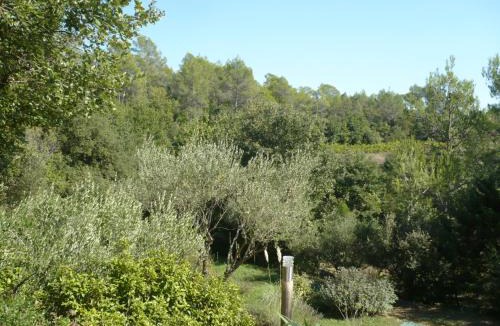 Cabasse House | Un Cabanon en Provence