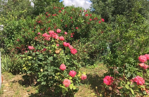 Saint-Saturnin-les-Avignon Villa | Villa Spacieuse Avec Piscine Privée Dans Joli Village Provençal