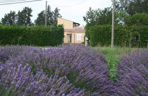 Le Thor Villa | Villa de Vacances Avec Grande Piscine en Campagne. Animaux Acceptés !