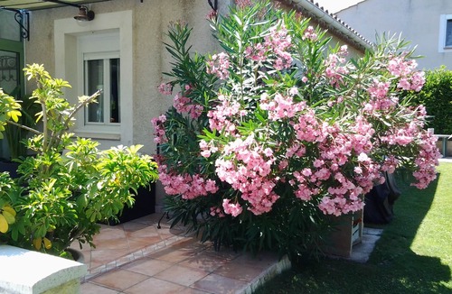 Pierrevert Villa | villa in the Luberon Park