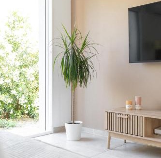 Marignane Villa | Villa Mimosa