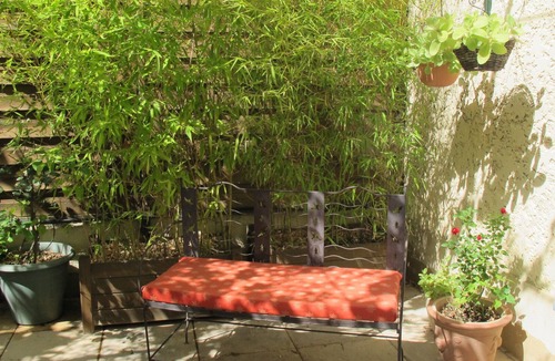 Monteux Villa | Villa, swimming pool, table tennis, near Mont Ventoux
