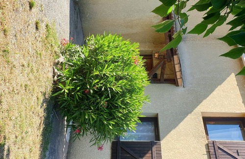 Vedene House | Villa with swimming pool sleeps 8 in provence