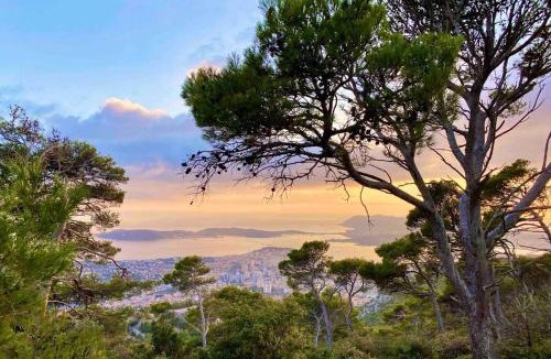 Toulon Apartment | Vue Faron - Appart cosy - Proche Téléphérique/Gare