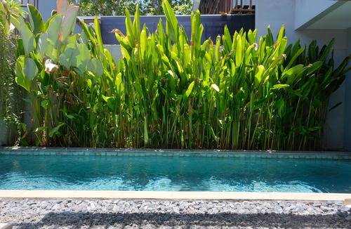 Mumbul Villa | Whole Aesthetic Private Villa with 2 Bedroom and Private pool in Nusa Dua Bali