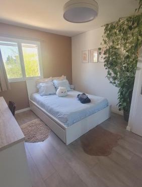 Chambre d'hôte dans une maison cosy