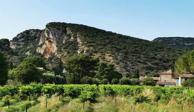 House at the foot of the Luberon Lourmarin, a unique experience with nature