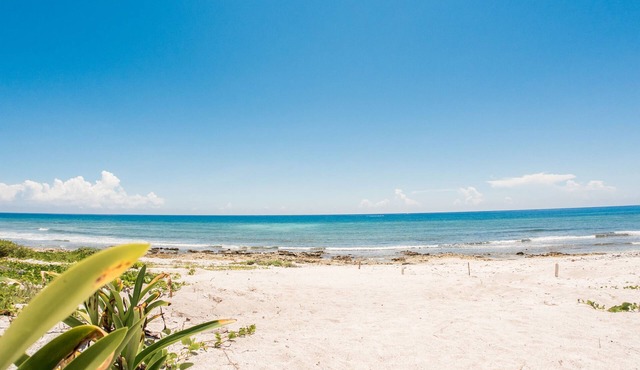 ocean view 4 BB villa with big pool in front of the beach in Tulum. sleeps 12