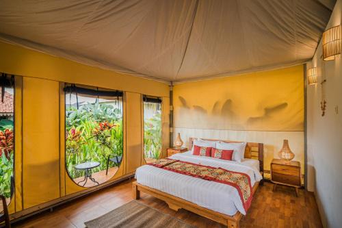 Paddy's Glamping by Manara
