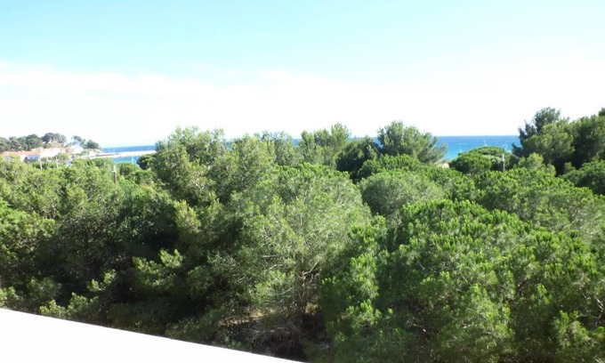 Les Sablettes Apartment | 29 m² Studio flat ∙ 1 bedroom ∙ 3 guests