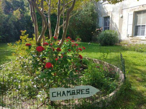 Saintes-Maries-de-la-Mer Bed & Breakfast | 40 m² Bed and breakfast ∙ 7 guests