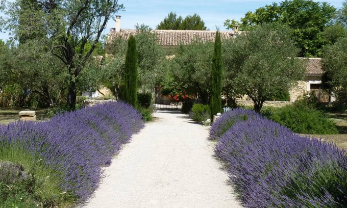 Carpentras House | 40 m² House ∙ 1 bedroom ∙ 2 guests