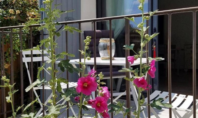 Baudinard-sur-Verdon House | 48 m² House ∙ 1 bedroom ∙ 3 guests