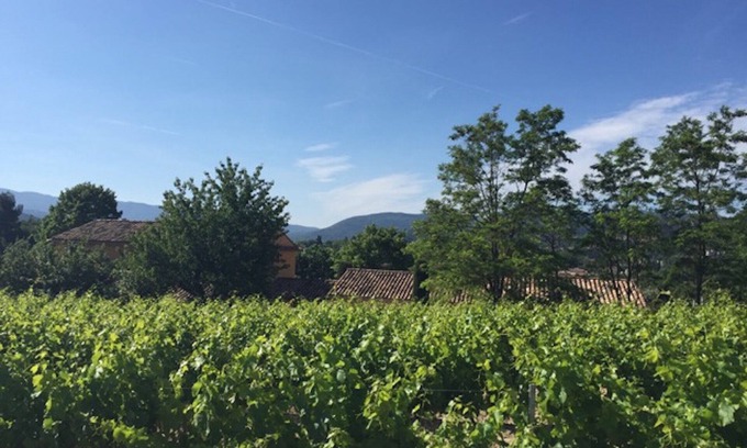 Vaison-la-Romaine Cottage | Boutique home with beautiful garden and large pool, short walk into town