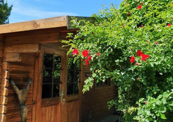 Caumont-sur-Durance House | La Cabane du Pesquier en Provence