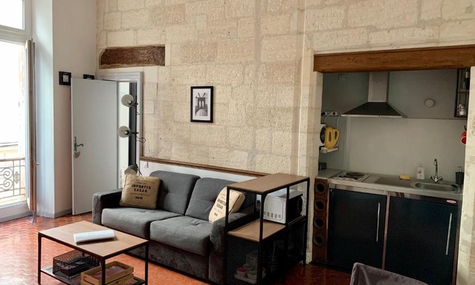 Avignon City Centre Apartment | La Salamandre