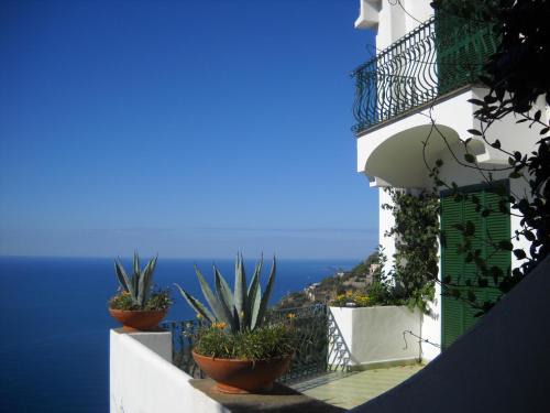 Conca dei Marini Apartment | Le Cicale - Apartments