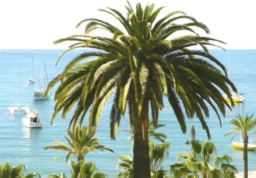 Carqueiranne Apartment | Studio Clim proche plage et parking