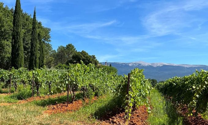 Mormoiron House | Villa des Oliviers